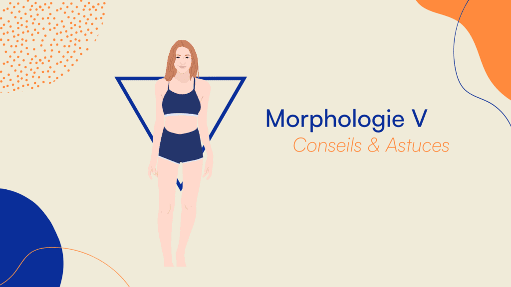Morphologie V