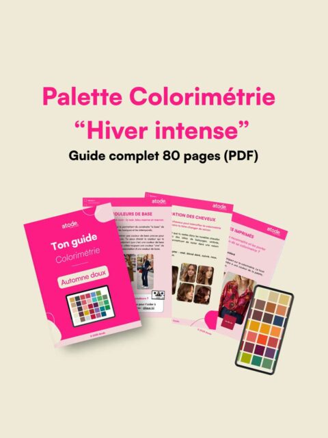 Palette colorimétrie hiver intense - ATODE Conseil en image